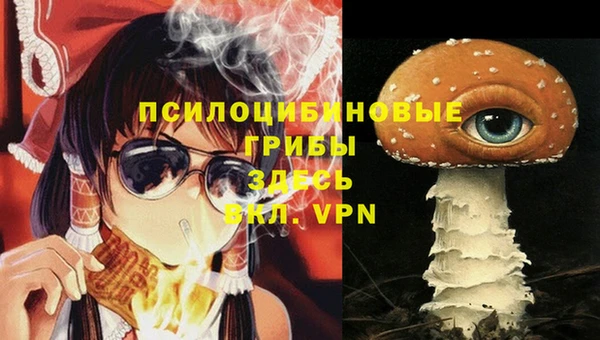 mdpv Алзамай