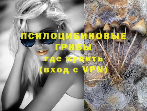 винт Алексеевка